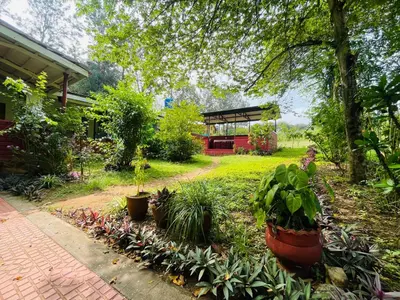 a garden with potted plants in front of a building at Wild Valley Club in Masinagudi