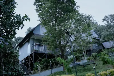 a house with a tree in front of it at Mountain Vibes Resort Wayanad in Wayanad