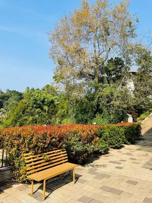 a wooden bench sitting in front of a hedge of flowers at Caravan holiday homes Vythiri in Vythiri