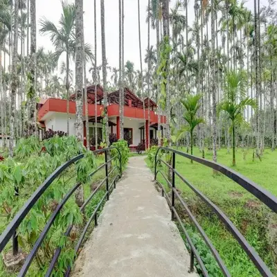 Lazo Areca Resort