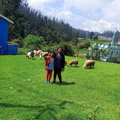 a woman and two children standing in a field with sheep at REHMANS HOMESTAY in Ooty